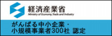がんばる中小企業・小規模事業者300社
